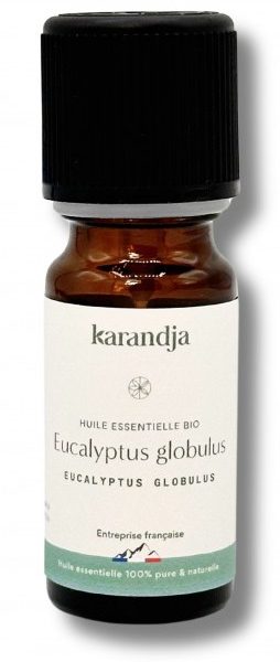 eucalyptus globulus