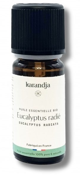eucalyptus radiata