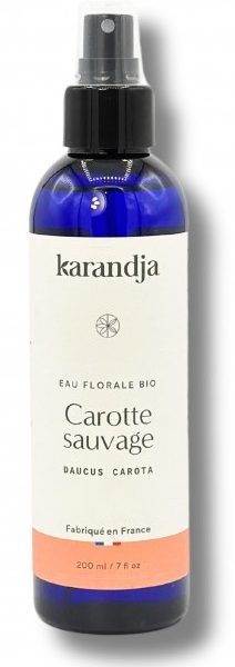 hydrolat de carotte sauvage bio