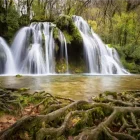 rock water ou eau de roche