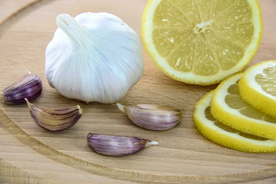 meilleur antibiotique naturel