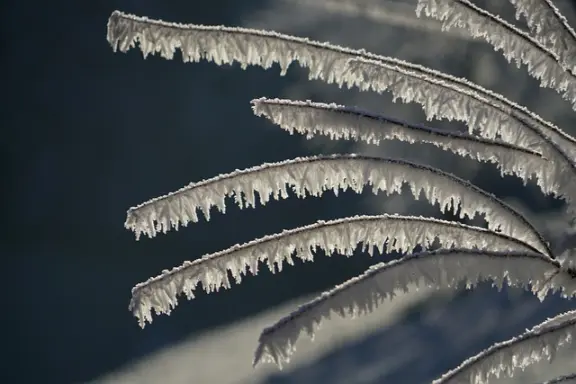 résister au froid
